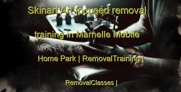 Skinart Art-focused removal training in Marnelle Mobile Home Park | RemovalTraining | RemovalClasses | SkinartTraining-United States